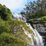 Cheeyappara Waterfall Idukki 